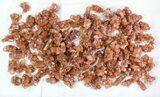 Lot: Small Twinned Aragonite Crystals - Pieces #78105-2